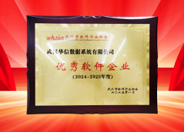 喜讯丨皇御环球MT5数据获评2024~2025年度武汉市软件行业&ldquo;优秀企业&rdquo;、&ldquo;优秀工作者&rdquo;荣誉称号！